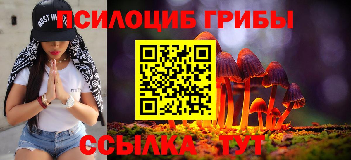 Галлюциногенные грибы мицелий Старая Купавна